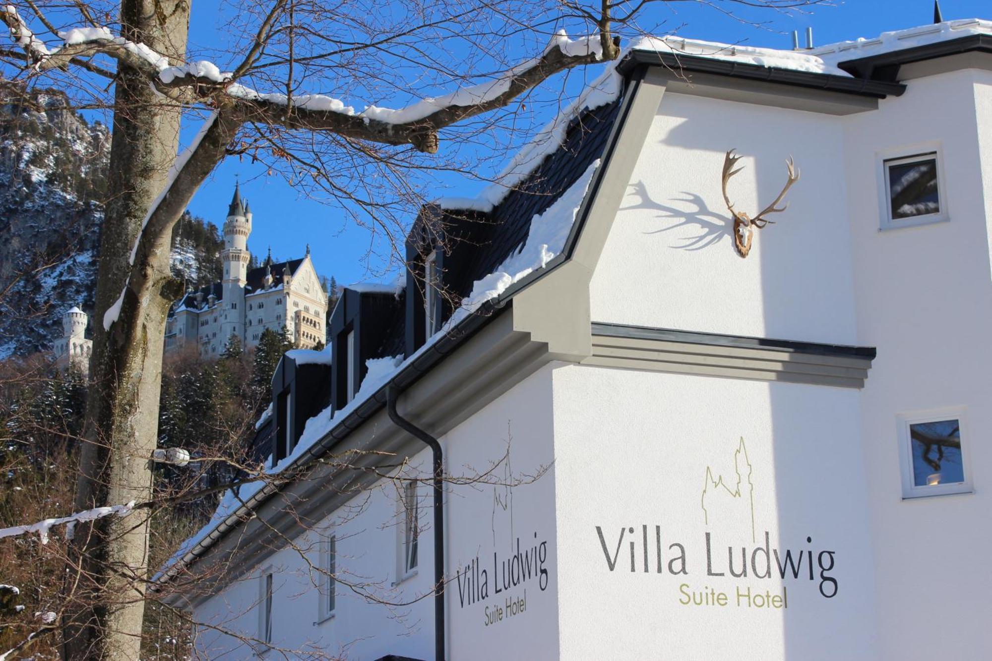Ludwig (adults Only) 4*